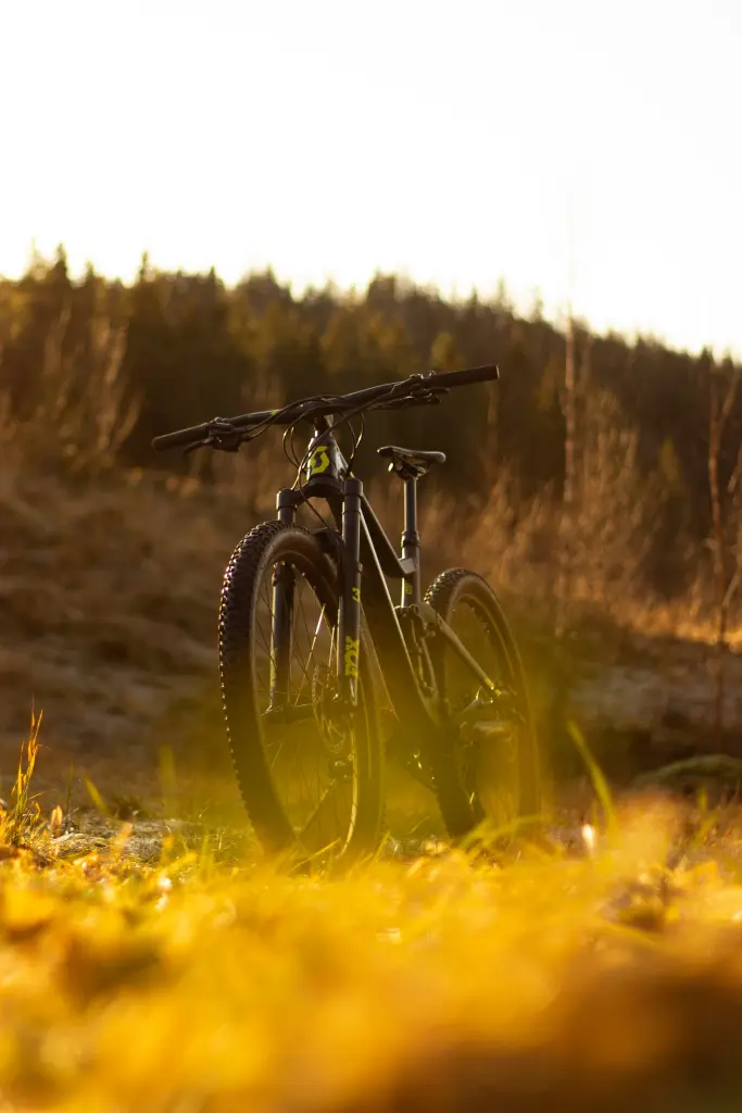 Test – Kolesarski dan med Bohinjem in Pokljuko